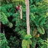 Environmental Science 14th by G. Tyler Miller