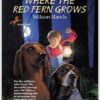 Where the Red Fern Grows