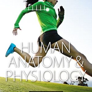 Human Anatomy & Physiology-Erin C. Amerman