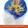 (With question bank)An Introduction to Brain and Behavior 5th by Bryan Kolb