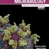 Microbiology Laboratory Theory and Application 3rd Brief Edition