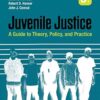 Juvenile Justice A Guide to Theory, Policy, and Practice 9th Edition
