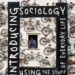 Introducing Sociology Using the Stuff of Everyday Life 1st Edition