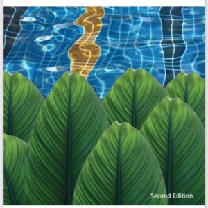 Processes, Systems, and Information An Introduction to MIS (2nd Edition)