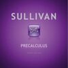 Precalculus 9th Edition by Michael Sullivan
