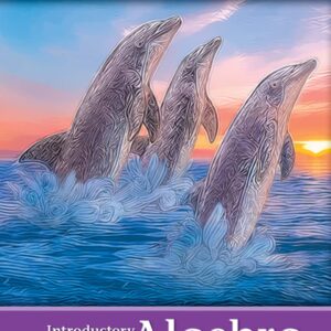 Introductory Algebra (Mathematics) 3rd Edition by Julie Miller