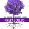 Precalculus 7th Edition by Margaret L. Lial