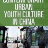 Contemporary Urban Youth Culture in China A Multiperspectival Cultural Studies of Internet Subcultures