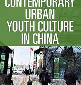 Contemporary Urban Youth Culture in China A Multiperspectival Cultural Studies of Internet Subcultures