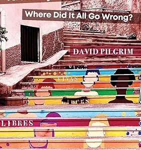 Identity Politics Where Did It All Go Wrong?