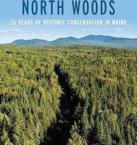 Loving the North Woods