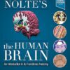 Nolte's The Human Brain An Introduction to its Functional Anatomy 8th Edition