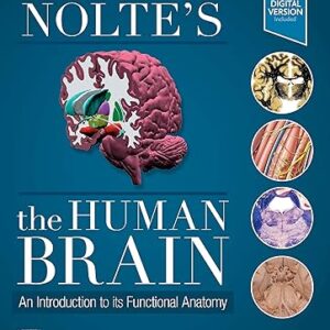 Nolte's The Human Brain An Introduction to its Functional Anatomy 8th Edition