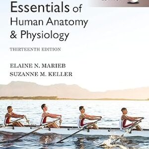 Essentials of Human Anatomy and Physiology Global Edition 13th Edition